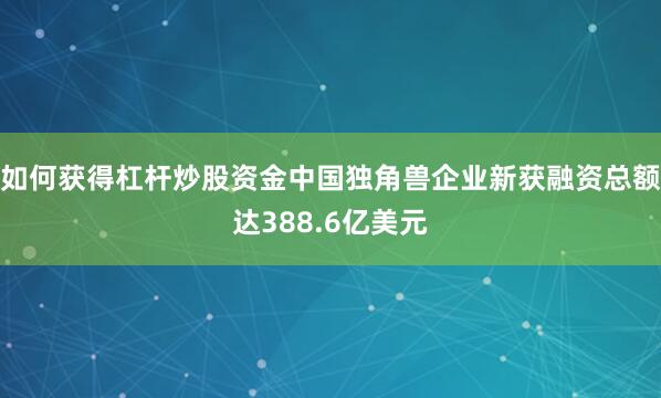 如何获得杠杆炒股资金中国独角兽企业新获融资总额达388.6亿美元