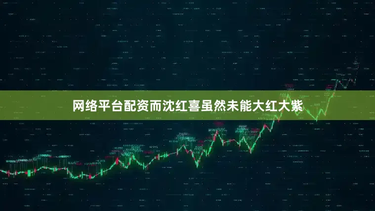 网络平台配资而沈红喜虽然未能大红大紫